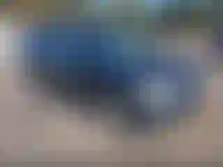 Vehicle Image- 2004 Honda Odyssey