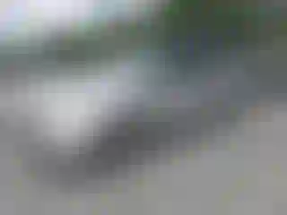 Vehicle Image- 2004 Honda Odyssey