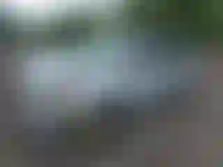 Vehicle Image- 2004 Honda Odyssey