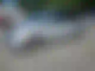 Vehicle Image- 2003 Honda Odyssey