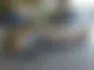 Vehicle Image- 2003 Honda Odyssey