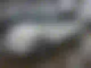 Vehicle Image- 2004 Honda Odyssey
