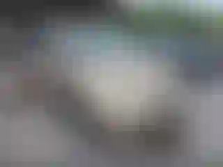 Vehicle Image- 2002 Honda Odyssey