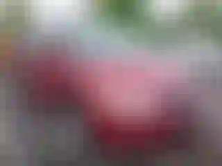 Vehicle Image- 2003 Honda Odyssey