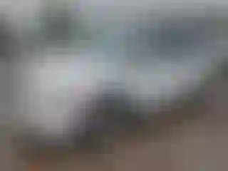 Vehicle Image- 2004 Honda Odyssey