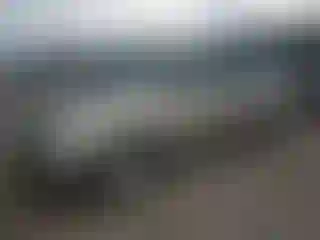 Vehicle Image- 2006 Honda Odyssey