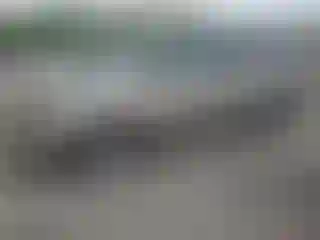 Vehicle Image- 2006 Honda Odyssey