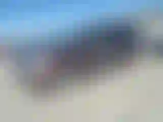 Vehicle Image- 2007 Honda Odyssey