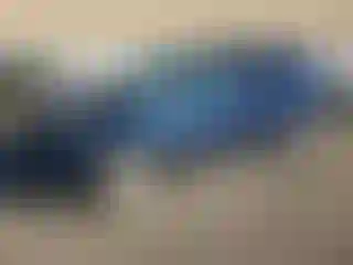 Vehicle Image- 2007 Honda Odyssey