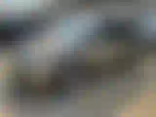 Vehicle Image- 2008 Honda Odyssey