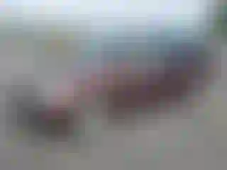 Vehicle Image- 2008 Honda Odyssey