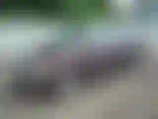 Vehicle Image- 2007 Honda Odyssey