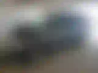 Vehicle Image- 2007 Honda Odyssey