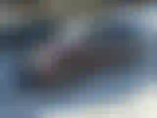 Vehicle Image- 2009 Honda Odyssey