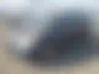 Vehicle Image- 2006 Honda Odyssey