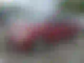 Vehicle Image- 2006 Honda Odyssey