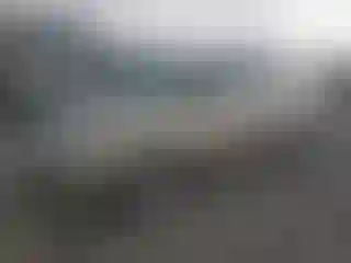 Vehicle Image- 2005 Honda Odyssey