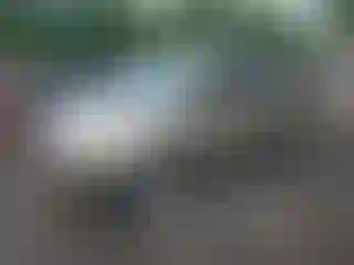 Vehicle Image- 2007 Honda Odyssey