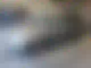 Vehicle Image- 2009 Honda Odyssey