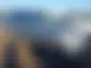 Vehicle Image- 2006 Honda Odyssey