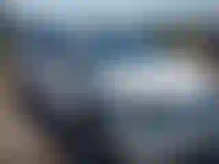 Vehicle Image- 2006 Honda Odyssey