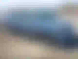 Vehicle Image- 2007 Honda Odyssey