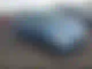 Vehicle Image- 2006 Honda Odyssey