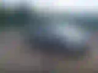Vehicle Image- 2007 Honda Odyssey
