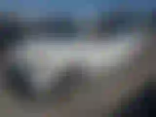 Vehicle Image- 2007 Honda Odyssey
