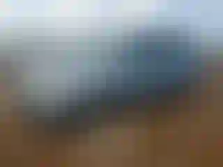 Vehicle Image- 2006 Honda Odyssey
