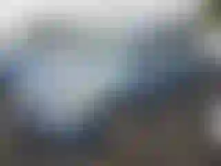 Vehicle Image- 2007 Honda Odyssey