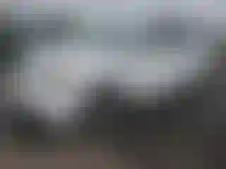 Vehicle Image- 2009 Honda Odyssey