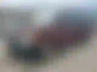 Vehicle Image- 2008 Honda Odyssey