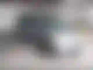 Vehicle Image- 2008 Honda Odyssey
