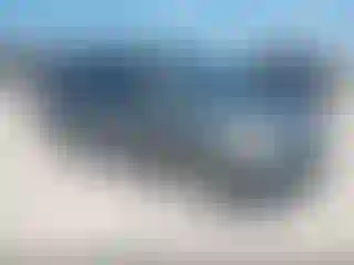 Vehicle Image- 2008 Honda Odyssey