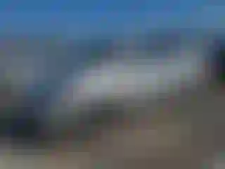 Vehicle Image- 2008 Honda Odyssey