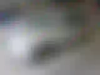 Vehicle Image- 2007 Honda Odyssey