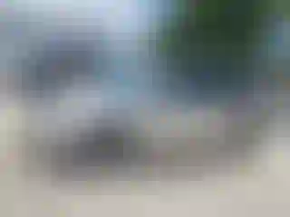 Vehicle Image- 2008 Honda Odyssey