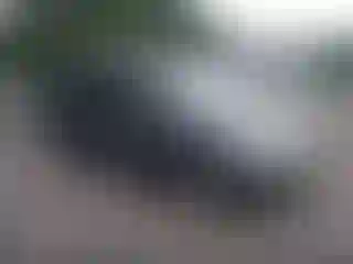 Vehicle Image- 2008 Honda Odyssey