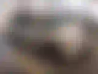 Vehicle Image- 2006 Honda Odyssey