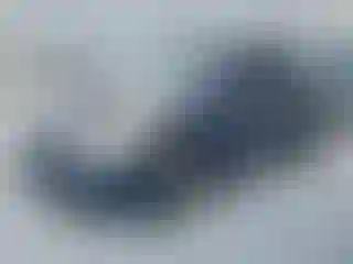 Vehicle Image- 2008 Honda Odyssey