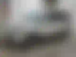 Vehicle Image- 2009 Honda Odyssey