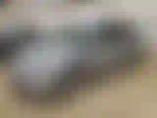 Vehicle Image- 2006 Honda Odyssey