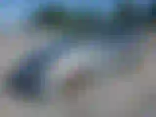 Vehicle Image- 2007 Honda Odyssey