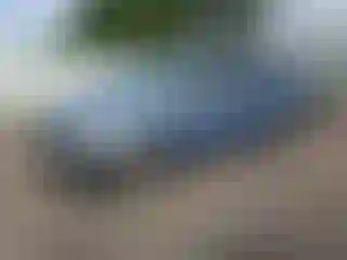 Vehicle Image- 2008 Honda Odyssey