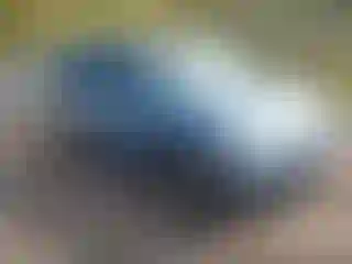 Vehicle Image- 2006 Honda Odyssey
