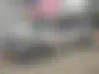 Vehicle Image- 2006 Honda Odyssey