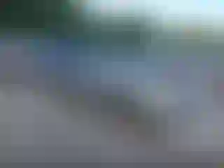 Vehicle Image- 2008 Honda Odyssey