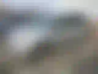 Vehicle Image- 2009 Honda Odyssey
