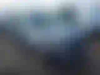 Vehicle Image- 2006 Honda Odyssey